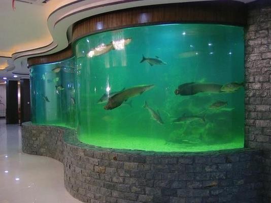 魚缸過濾器選購指南:自制魚缸過濾器魚缸上置過濾器對于養魚愛好者的必備知識 南京市玄武區諾亞水族館(南京市玄武區諾亞水族館地址) 全國水族館企業名錄 南京市玄武區諾亞水族館(南京市玄武區諾亞水族館地址) 南京市玄武區諾亞水族館(南京市玄武區諾亞水族館地址) 全國水族館企業名錄