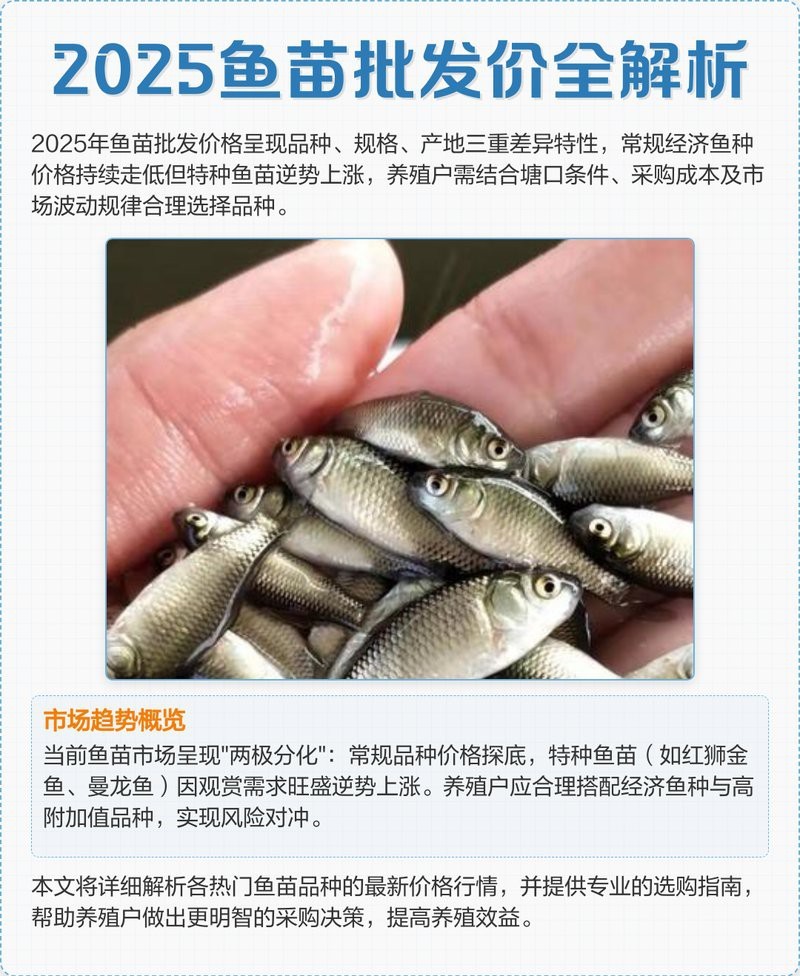 金龍魚苗價格多少錢一條啊視頻
