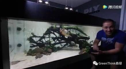怎么和龍魚互動(與龍魚互動不僅可以增進你與寵物之間的情感聯(lián)系還能提高生活質(zhì)量) 龍魚百科 第2張 怎么和龍魚互動(與龍魚互動不僅可以增進你與寵物之間的情感聯(lián)系還能提高生活質(zhì)量) 怎么和龍魚互動(與龍魚互動不僅可以增進你與寵物之間的情感聯(lián)系還能提高生活質(zhì)量) 龍魚百科 第2張