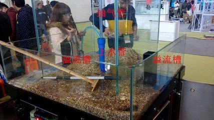 底濾魚(yú)缸上水快下水慢的原因是由于多種原因引起的：底濾魚(yú)缸上水快下水快下水慢的原因是多種原因引起的