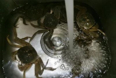 魚缸過濾視頻：不同類型的魚缸過濾系統