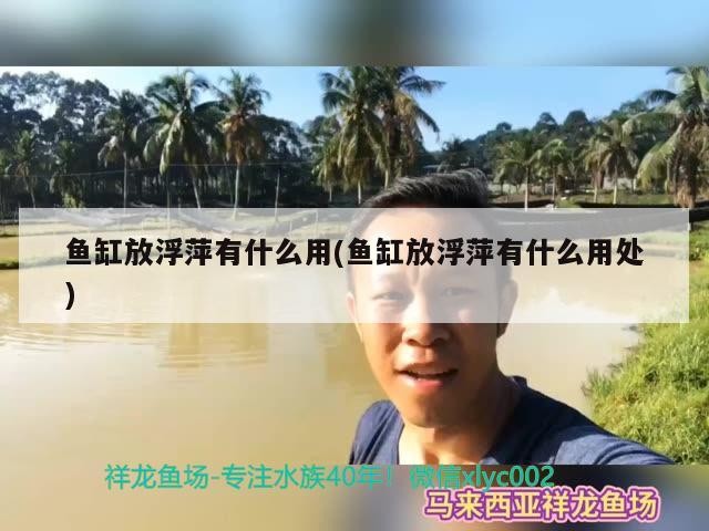 北京黃村豐杰觀賞魚店 北京黃村豐杰觀賞魚店 全國水族館企業(yè)名錄 第1張