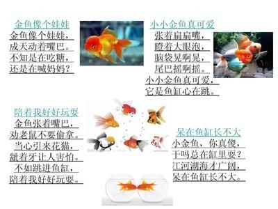 魚缸 作文:描寫魚缸的作文示例 魚缸百科 第4張 魚缸 作文:描寫魚缸的作文示例 魚缸 作文:描寫魚缸的作文示例 魚缸百科 第4張