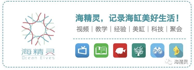 金晶玻璃魚缸缺點(diǎn)分析：金晶玻璃魚缸性價(jià)比如何 金晶玻璃魚缸缺點(diǎn)分析：金晶玻璃魚缸性價(jià)比如何 魚缸百科 第5張