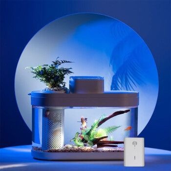 畫法幾何魚缸一鍵換水：畫法幾何魚缸換水