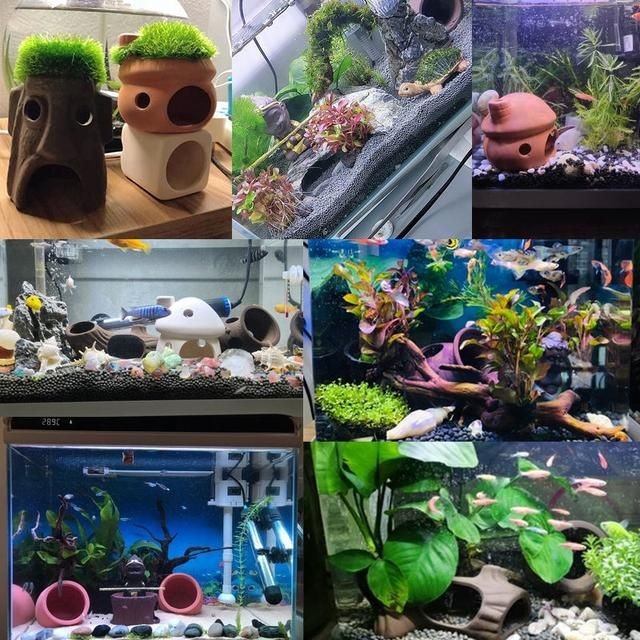 異型魚魚缸造景：異型魚缸造景案例分享異型魚魚缸造景設(shè)計(jì)原則和實(shí)施方法 異型魚魚缸造景：異型魚缸造景案例分享異型魚魚缸造景設(shè)計(jì)原則和實(shí)施方法 魚缸百科 第1張