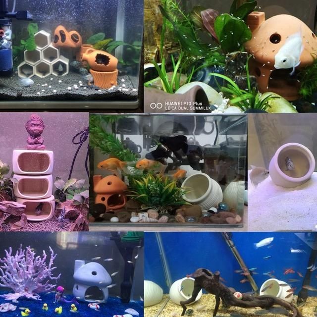 異型魚魚缸造景：異型魚缸造景案例分享異型魚魚缸造景設(shè)計(jì)原則和實(shí)施方法 異型魚魚缸造景：異型魚缸造景案例分享異型魚魚缸造景設(shè)計(jì)原則和實(shí)施方法 魚缸百科 第3張