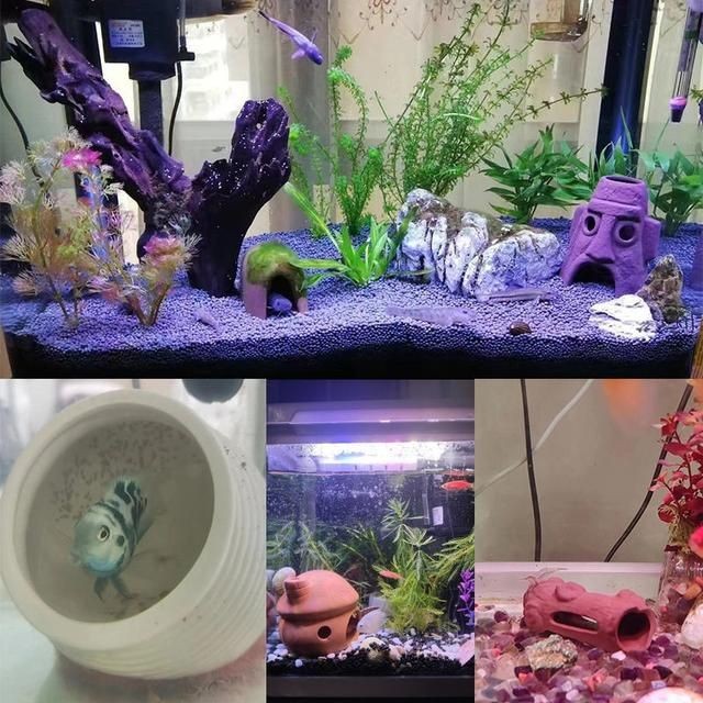 異型魚魚缸造景：異型魚缸造景案例分享異型魚魚缸造景設(shè)計(jì)原則和實(shí)施方法 異型魚魚缸造景：異型魚缸造景案例分享異型魚魚缸造景設(shè)計(jì)原則和實(shí)施方法 魚缸百科 第4張