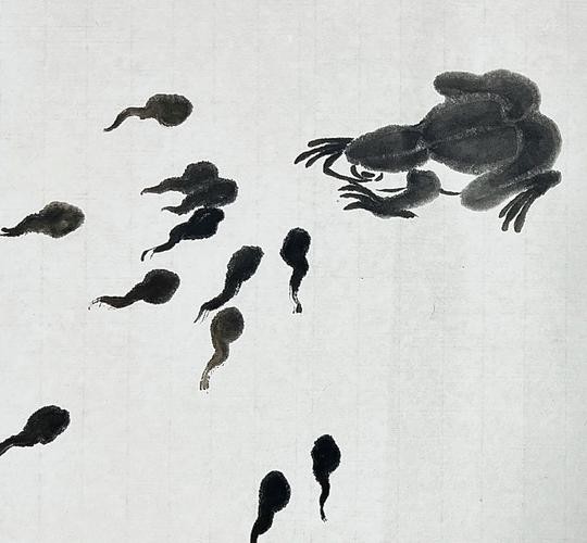 恐龍魚圖片動畫片大全