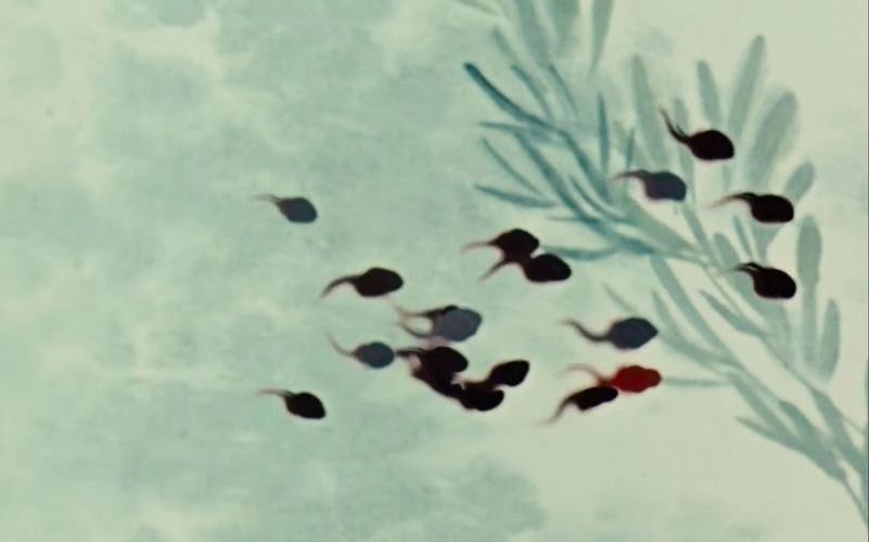 恐龍魚圖片動畫片大全