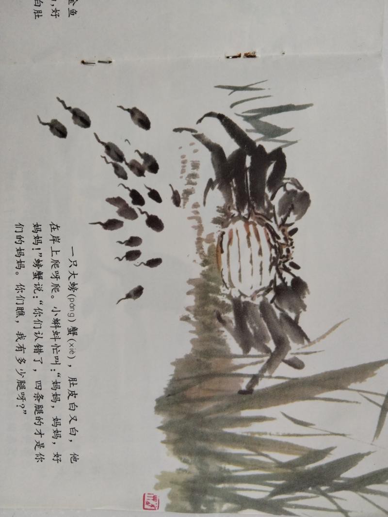 恐龍魚圖片動畫片大全