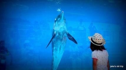 美之海魚缸怎么樣：美之海魚缸用戶評價匯總