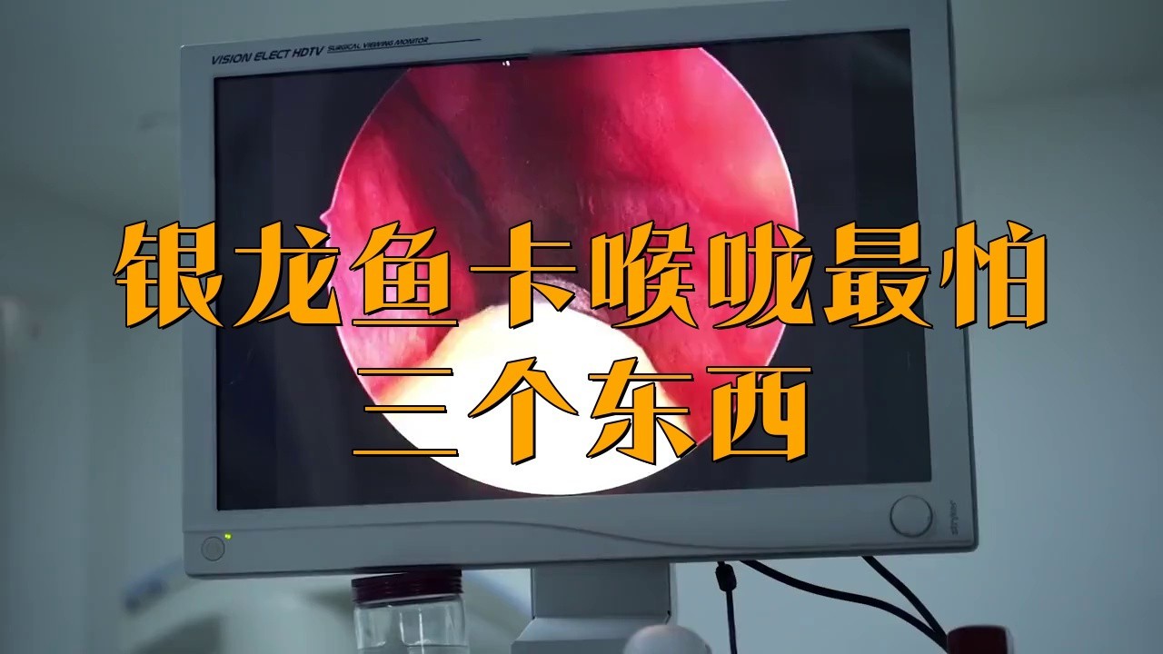 手被銀龍魚咬了怎么辦