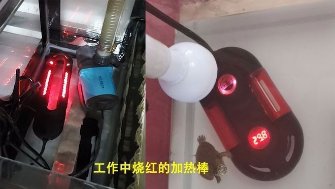 魚(yú)缸加熱棒什么牌子質(zhì)量好：森森加熱棒價(jià)格對(duì)比eheim加熱棒價(jià)格對(duì)比