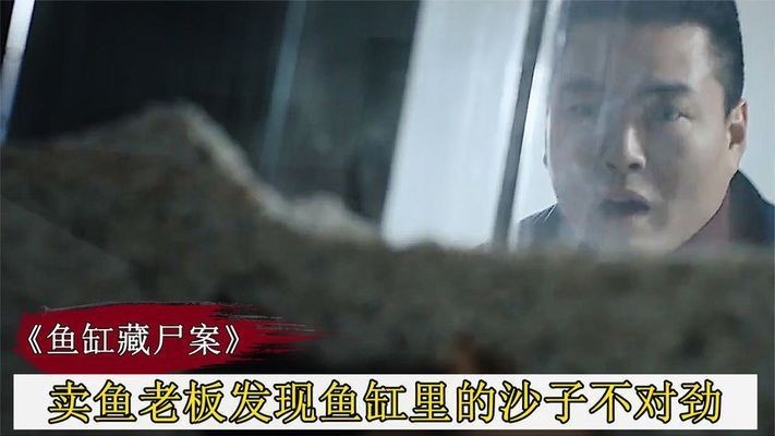 魚缸老板：“魚缸老板”的具體信息并沒有直接相關的詳細信息