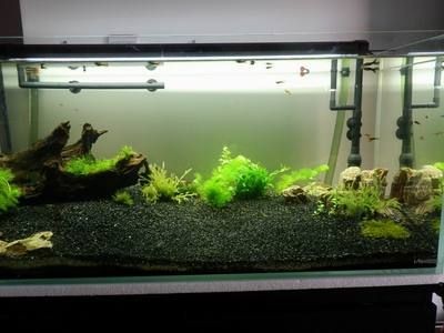 黑金沙鋪魚缸（黑金沙的種類與用途） 黑金沙鋪魚缸（黑金沙的種類與用途） 魚缸百科 第3張