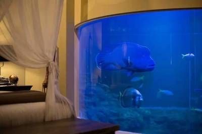 床邊放魚缸好不好：床邊放魚缸風水健康學上都有其正反兩面影響魚缸財運