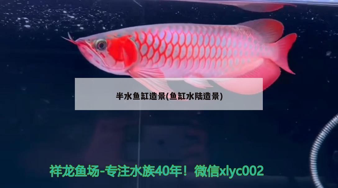 肥西縣桃花工業(yè)園如意花坊店