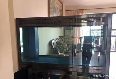 海安市魚缸和魚銷售地點：生態(tài)魚缸diy教程：海安市內魚缸和魚銷售地點
