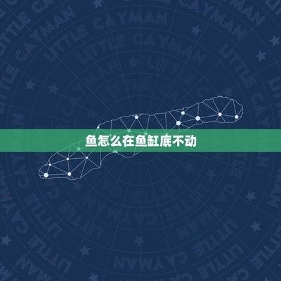魚缸魚在下面不動怎么辦,如何判斷魚缸水質(zhì)是否合格魚缸水溫調(diào)節(jié)的最佳方法 龍魚百科 第3張 魚缸魚在下面不動怎么辦,如何判斷魚缸水質(zhì)是否合格魚缸水溫調(diào)節(jié)的最佳方法 魚缸魚在下面不動怎么辦,如何判斷魚缸水質(zhì)是否合格魚缸水溫調(diào)節(jié)的最佳方法 龍魚百科 第3張