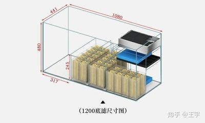 魚缸過濾材料選擇指南：魚缸底濾魚缸過濾系統布置濾材布置的具體步驟和注意事項