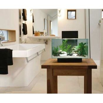 薩伊藍魚缸造景：薩伊藍魚缸造景是一種創新的室內水族箱設計的創新項目