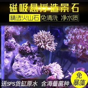 彩色魚缸造景石廠家電話多少：北京彩色魚缸造景石廠家