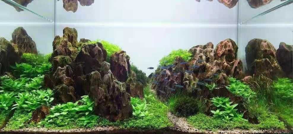 彩色魚缸造景石廠家電話多少：北京彩色魚缸造景石廠家