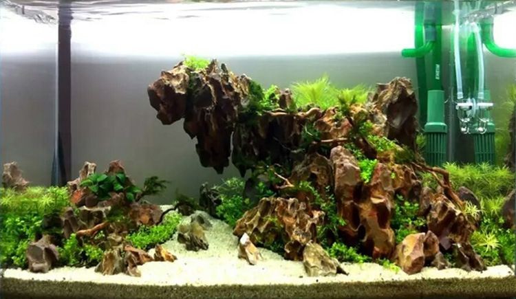 彩色魚(yú)缸造景石廠家電話多少：北京彩色魚(yú)缸造景石廠家