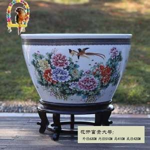 落地魚缸養錦鯉圖片