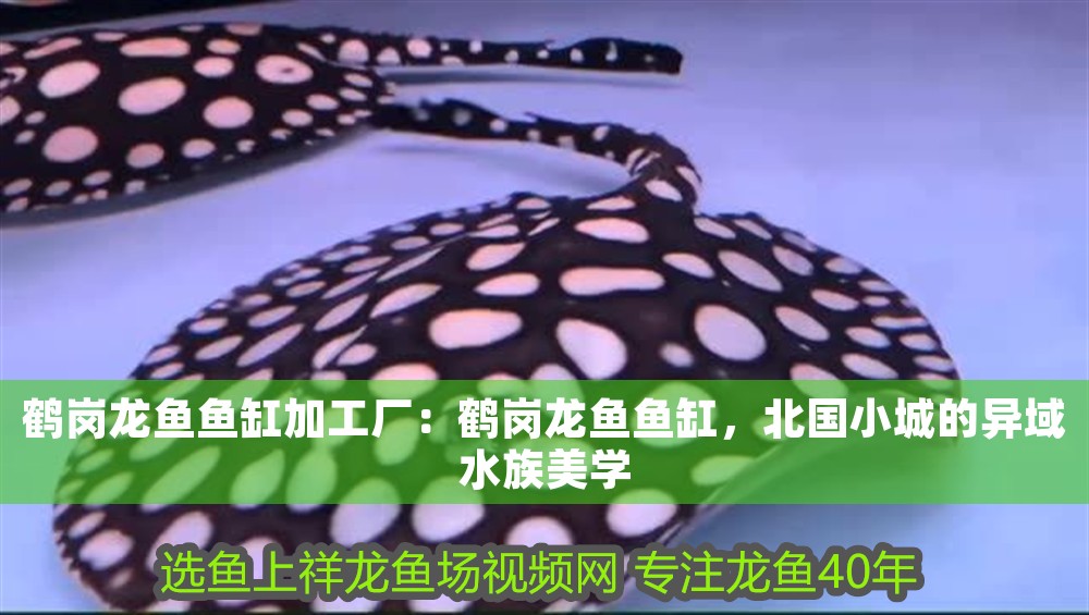 鶴崗龍魚魚缸加工廠:鶴崗龍魚魚缸,北國小城的異域水族美學 魚缸百科 第1張 鶴崗龍魚魚缸加工廠:鶴崗龍魚魚缸,北國小城的異域水族美學 鶴崗龍魚魚缸加工廠:鶴崗龍魚魚缸,北國小城的異域水族美學 魚缸百科 第1張