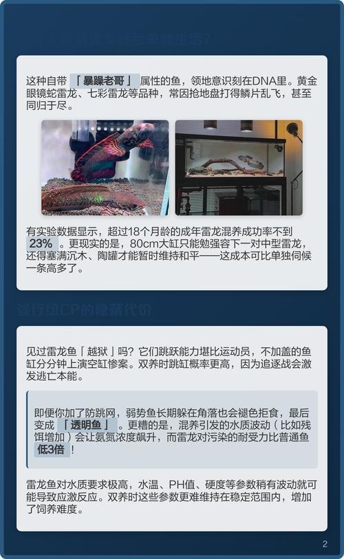 雷龍魚可以和銀龍魚混養(yǎng)嗎圖片欣賞