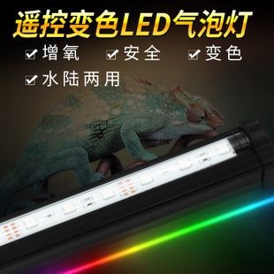 斗魚鱗片脫落后能恢復嗎，斗魚鱗片脫落會留疤嗎