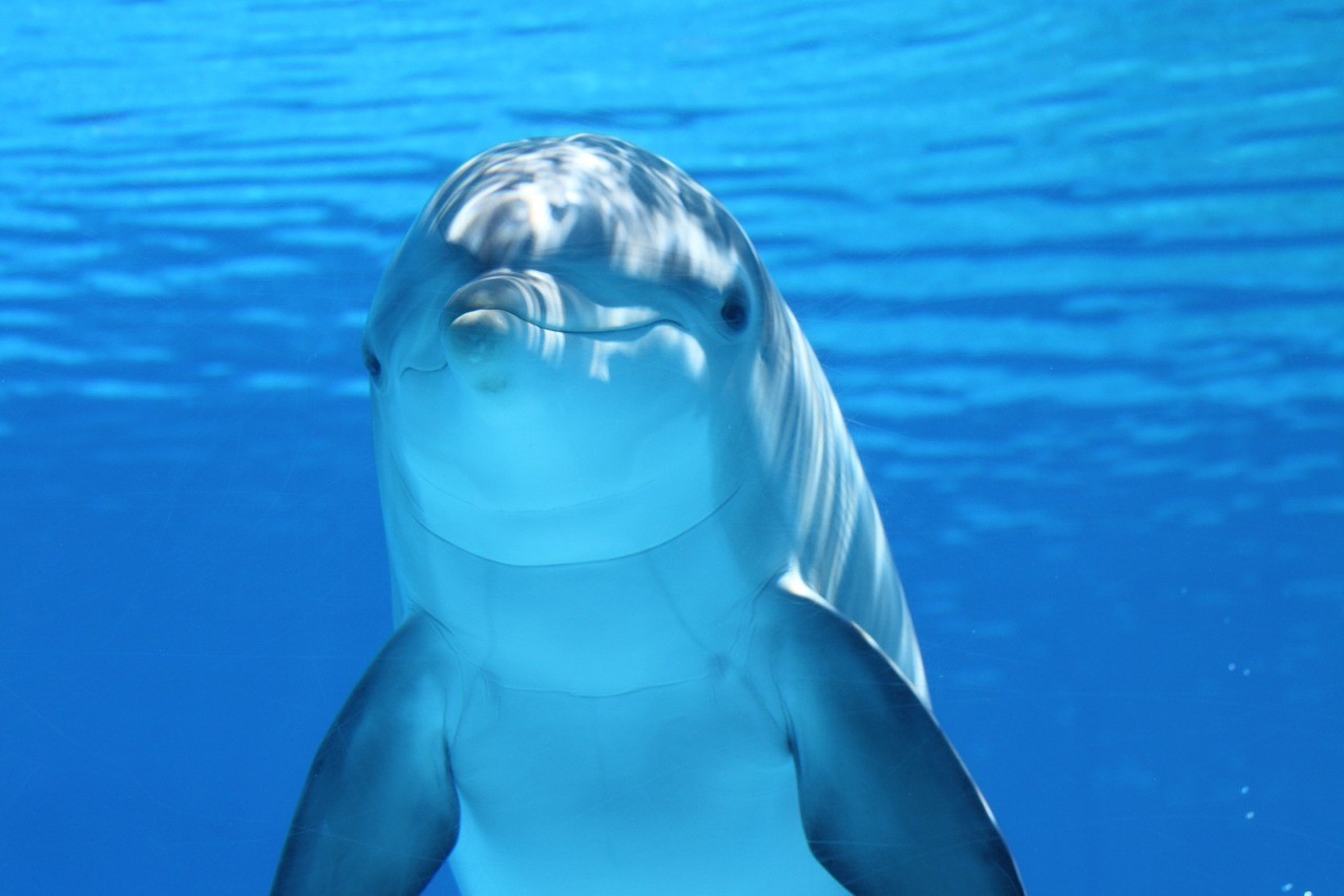海拉爾區幸運緣水族館