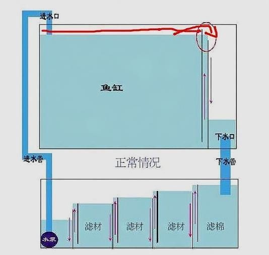 底濾魚(yú)缸進(jìn)水口攔魚(yú)梳的設(shè)計(jì)：底濾魚(yú)缸改造的藝術(shù)與技巧 底濾魚(yú)缸進(jìn)水口攔魚(yú)梳的設(shè)計(jì)：底濾魚(yú)缸改造的藝術(shù)與技巧 魚(yú)缸百科 第1張