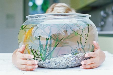 魚缸圖片 壁紙可愛，卡通魚缸壁紙下載水草魚缸壁紙欣賞溫馨風格魚缸壁紙