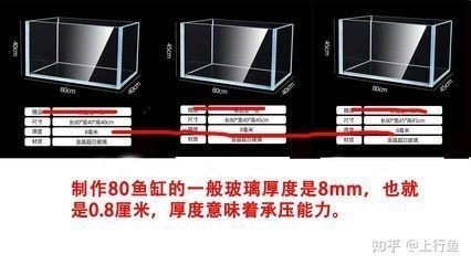 魚缸選擇，魚缸尺寸選擇技巧不同材質魚缸優缺點