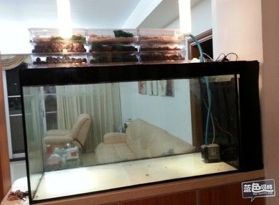 魚缸過濾器材直接放在魚缸中，需要注意什么？：魚缸過濾器材可以直接放在魚缸中的過濾系統的維護技巧 魚缸過濾器材直接放在魚缸中，需要注意什么？：魚缸過濾器材可以直接放在魚缸中的過濾系統的維護技巧 魚缸百科 第1張