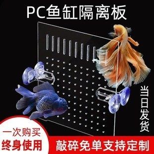 魚缸隔離版：自制魚缸隔離板教程，魚缸隔離板維護與清潔方法 魚缸隔離版：自制魚缸隔離板教程，魚缸隔離板維護與清潔方法 魚缸百科 第5張