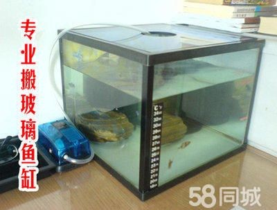 廣州搬家公司哪家好：廣州專業(yè)搬魚缸的搬家公司有哪些？