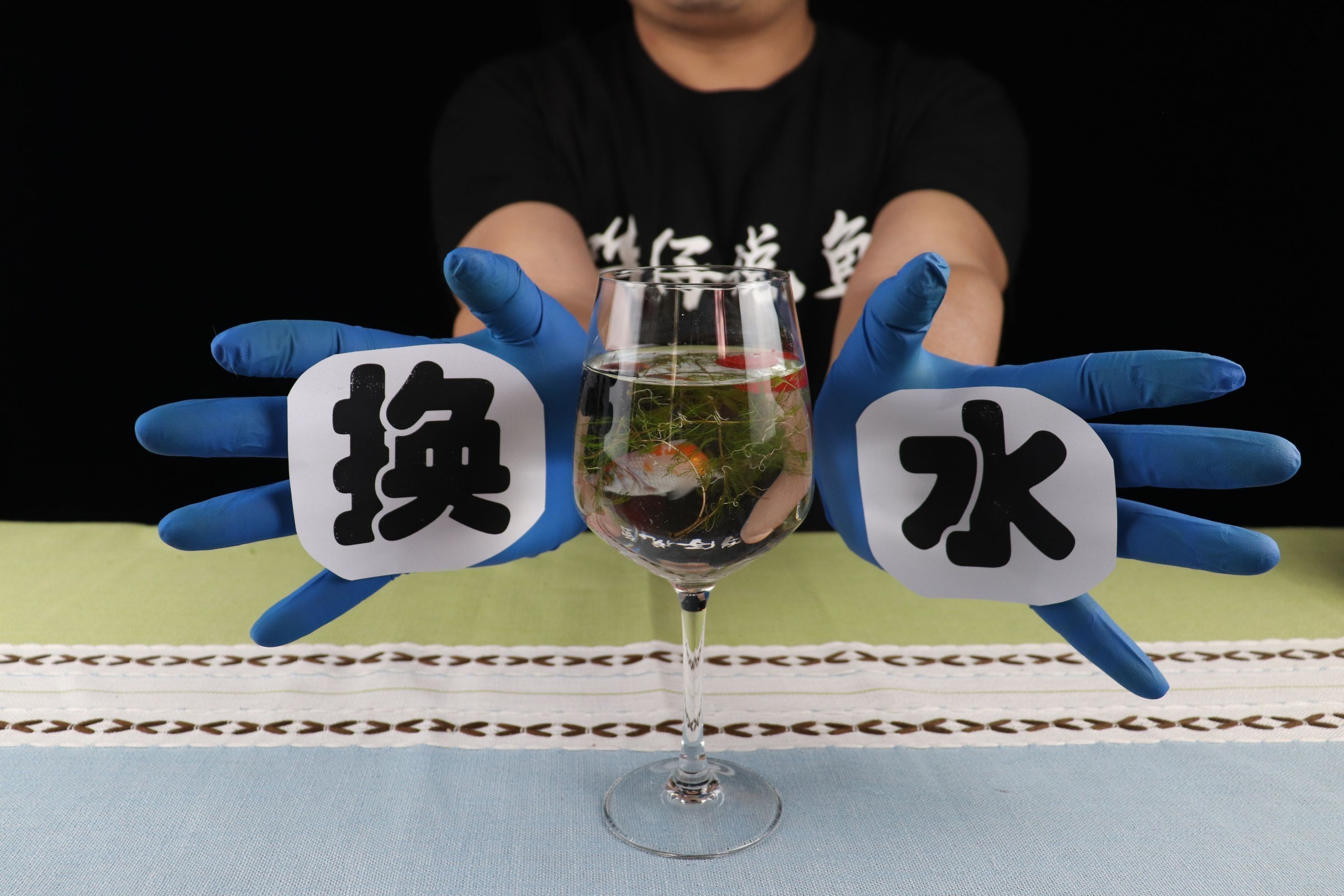 魚缸不換水魚能活多久，不同季節魚缸換水頻率提高魚缸水質的自然方法 魚缸不換水魚能活多久，不同季節魚缸換水頻率提高魚缸水質的自然方法 魚缸百科 第1張