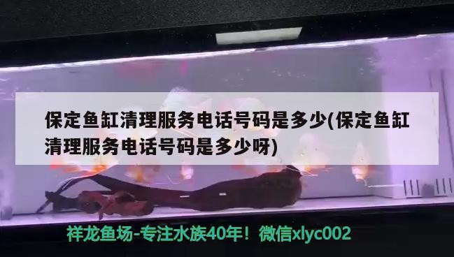 丹東市振興區鑫鑫錦鯉商行（沈陽鑫錦鯉裝飾工程有限公司）