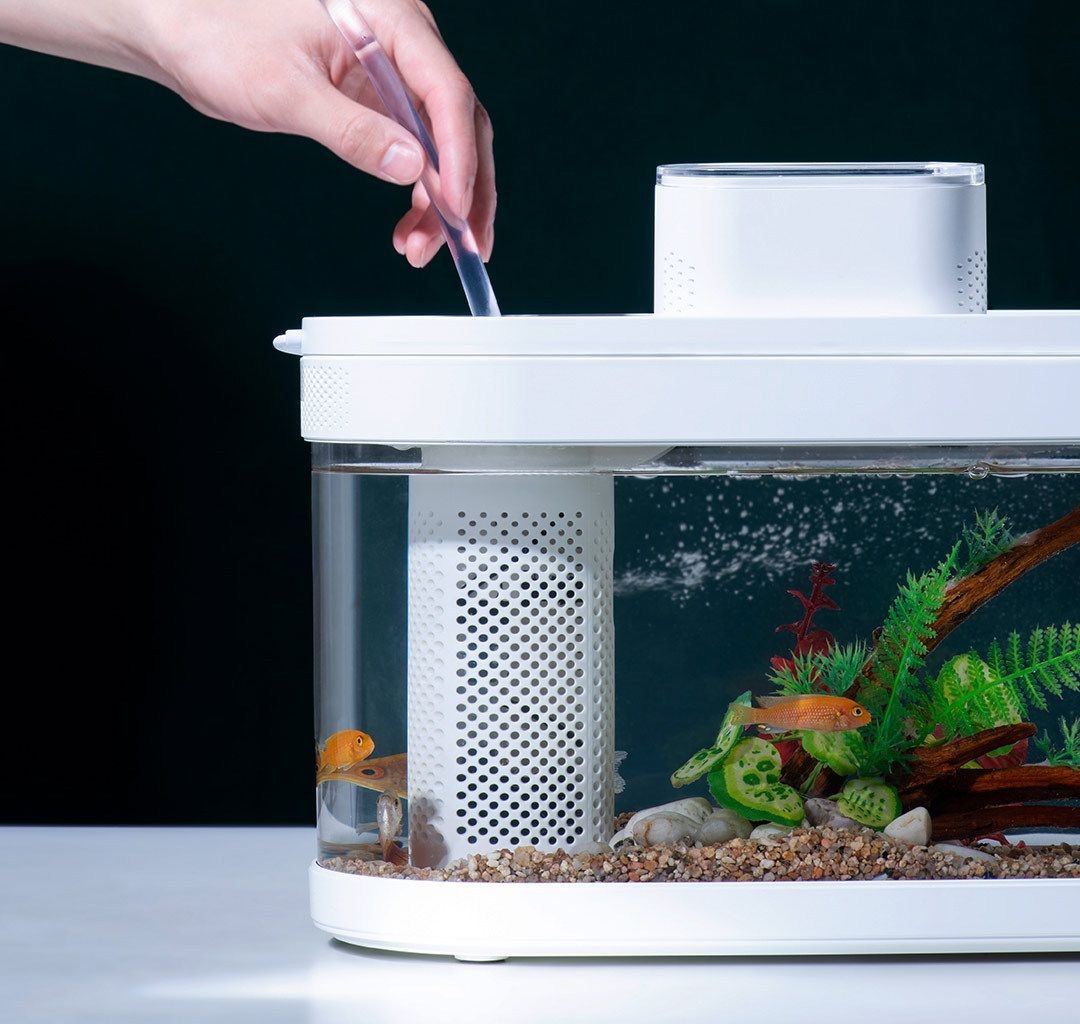 小米魚缸兩棲版好用嗎:小米魚缸兩棲版怎么樣 魚缸百科 第3張 小米魚缸兩棲版好用嗎:小米魚缸兩棲版怎么樣 小米魚缸兩棲版好用嗎:小米魚缸兩棲版怎么樣 魚缸百科 第3張