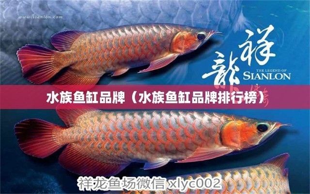 品牌魚缸有哪些：博宇boyu魚缸售后服務價格博宇boyu魚缸售后服務