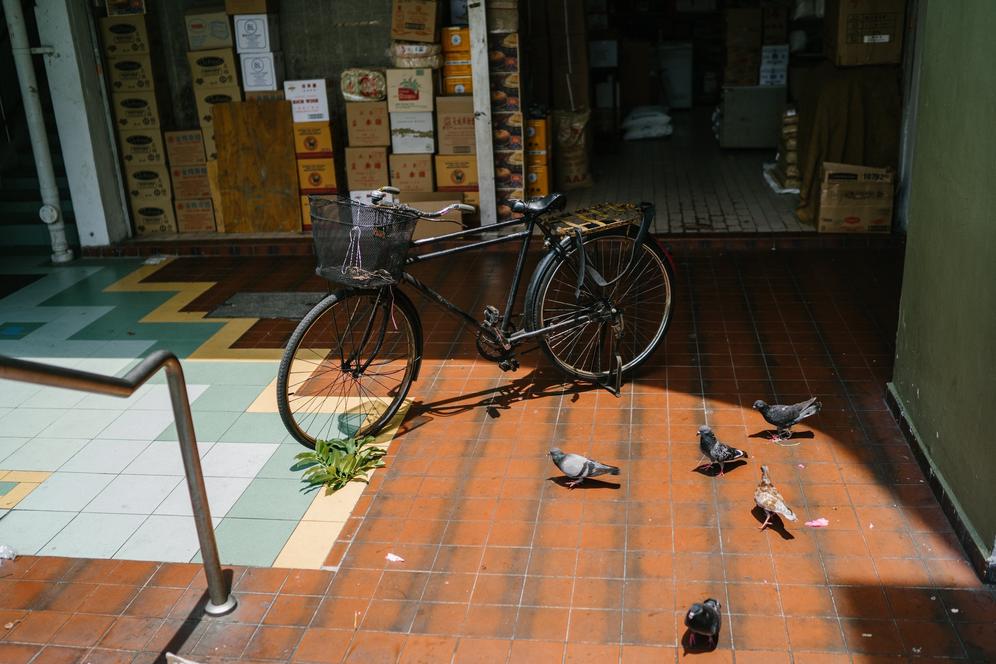蚌埠哪里有賣魚缸的實體店啊圖片（蚌埠哪里有賣自行車的實體店）