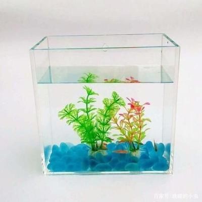 方形魚缸和長方形魚缸各有其優(yōu)點(diǎn)和適用場景選擇：圓形魚缸對(duì)魚類健康的影響
