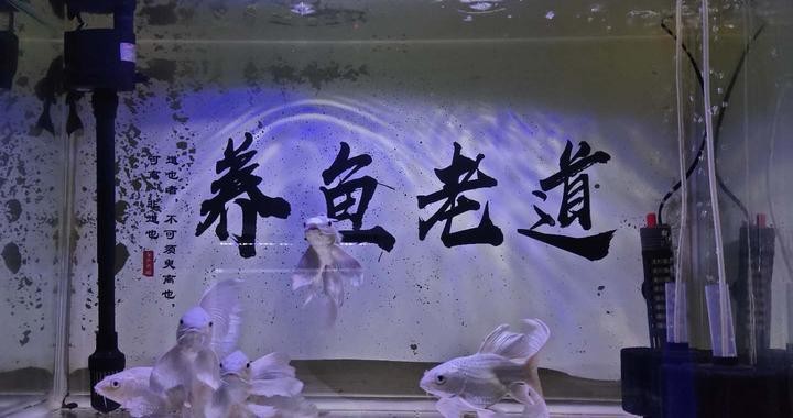 菏澤市牡丹區(qū)怡茹魚缸銷售店（菏澤市牡丹區(qū)怡茹魚缸銷售店地址）
