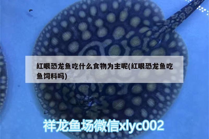 扎賚特旗陽蘭觀賞魚店