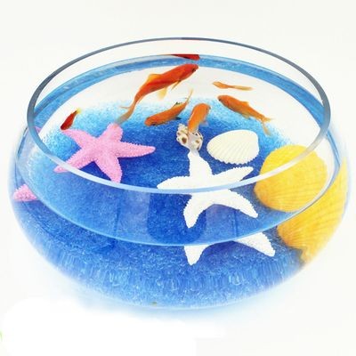 海邊的沙放魚缸可以不（海邊的沙子可以放入魚缸中嗎？）