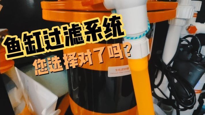 混養魚缸過濾系統選擇：混養魚缸過濾系統的選購 混養魚缸過濾系統選擇：混養魚缸過濾系統的選購 魚缸百科 第1張